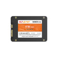 1TB 2.5 SATA III Internal Solid State Drive Y106