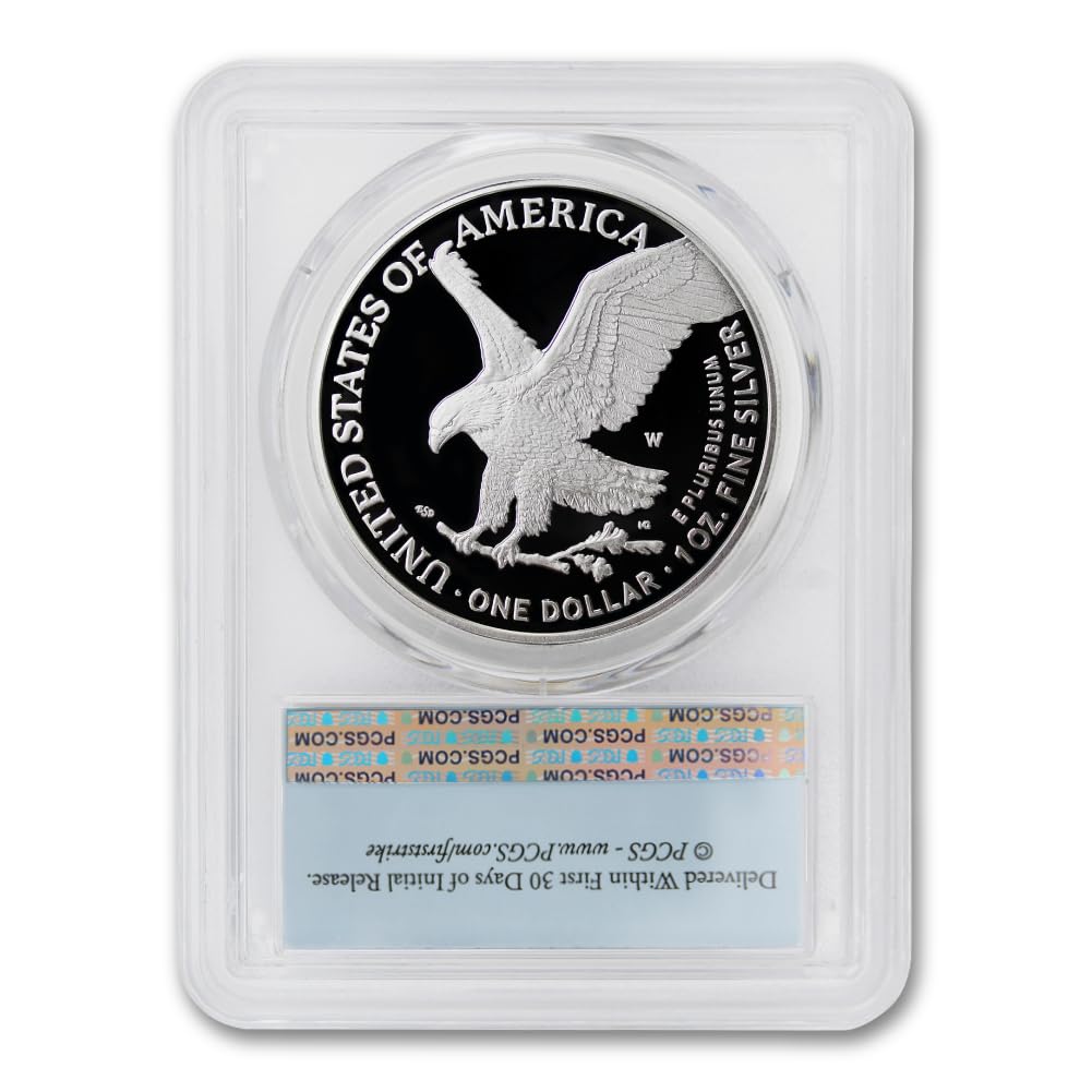 1 oz American Silver Eagle Coin J6253
