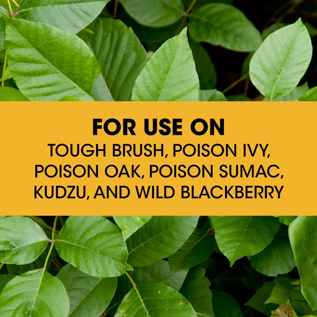 Concentrate Poison Ivy Killer Plus Brush Killer 32 oz D132729