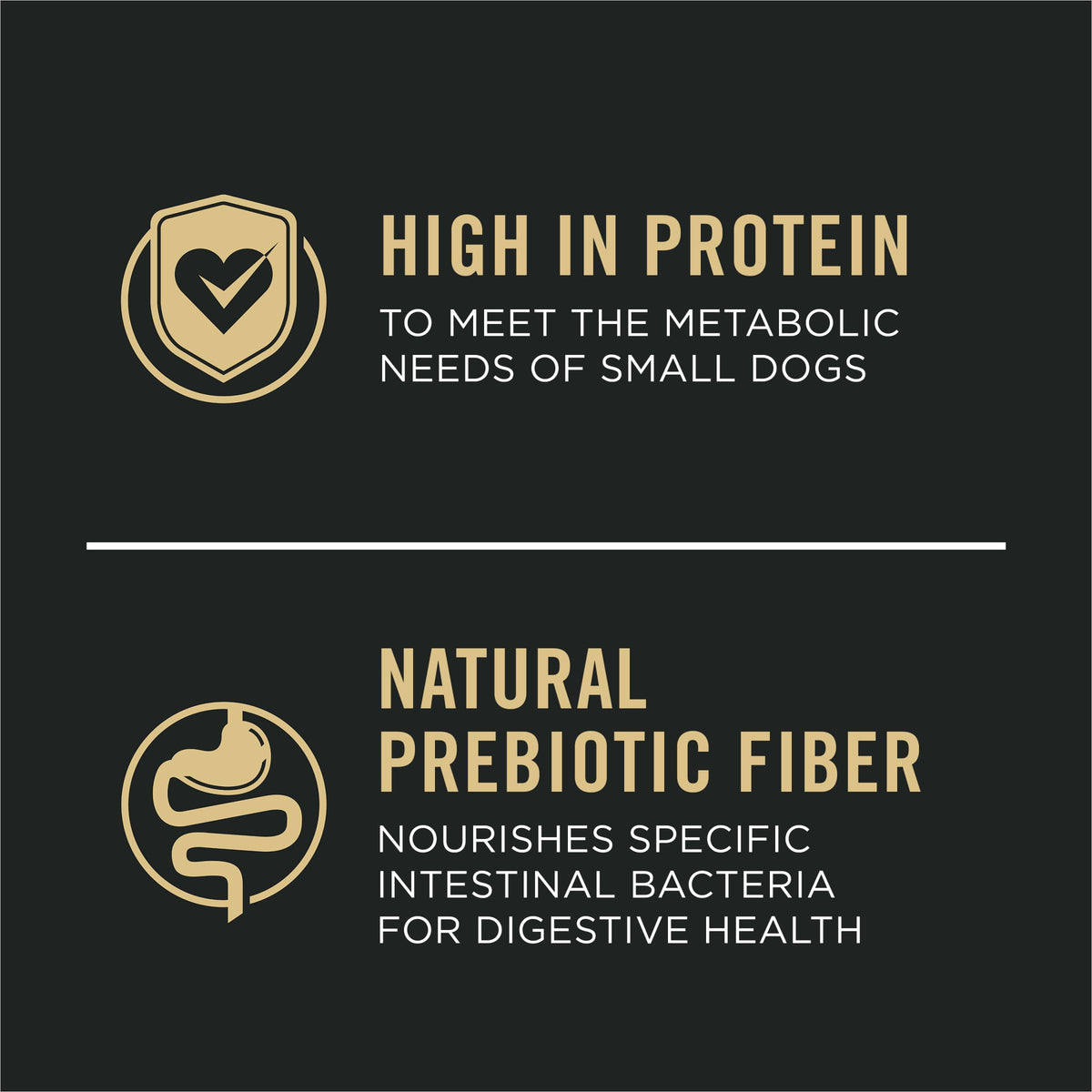 Sensitive Skin & Stomach Dry Dog Food 4 lb Bag P836