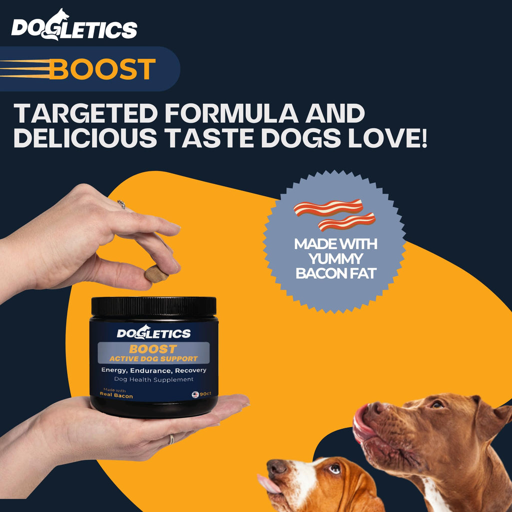 90ct Dog Support G7319