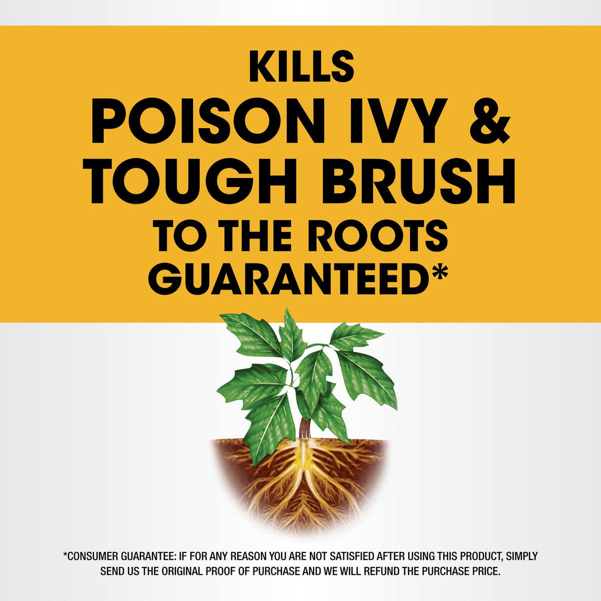 Concentrate Poison Ivy Killer Plus Brush Killer 32 oz D132729