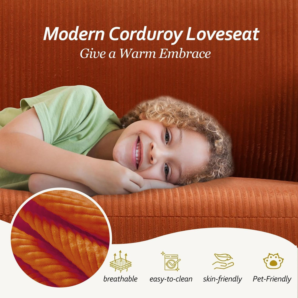 Velvet Loveseat Sofa S20687