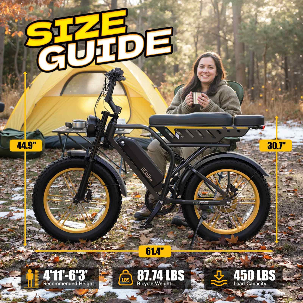 Electric Bike 48V 15Ah Battery 1500W Peak Motor 20 * 4.0 Fat Tire Z986