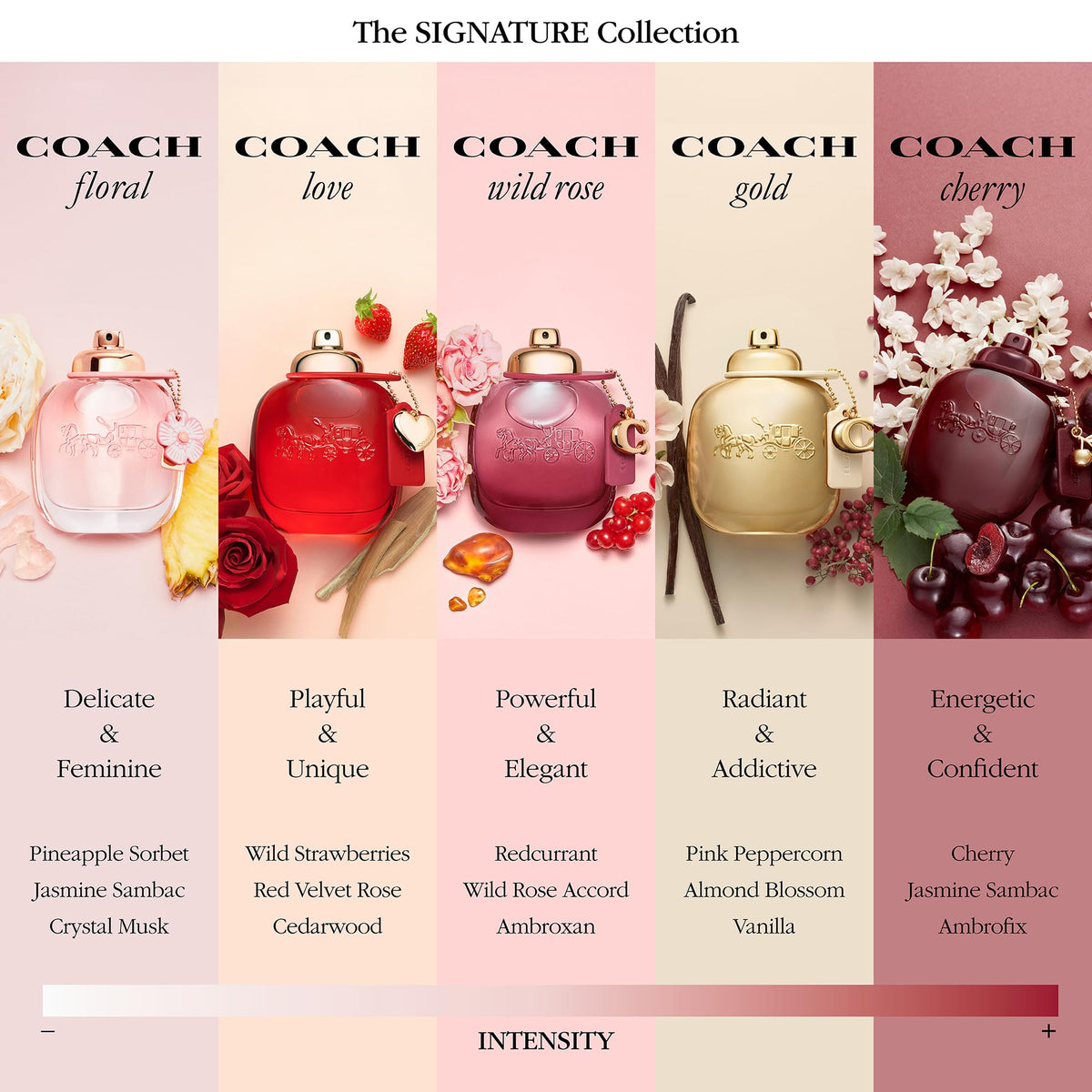 Cherry Floral Chypre Fruity Women's Fragrance H339