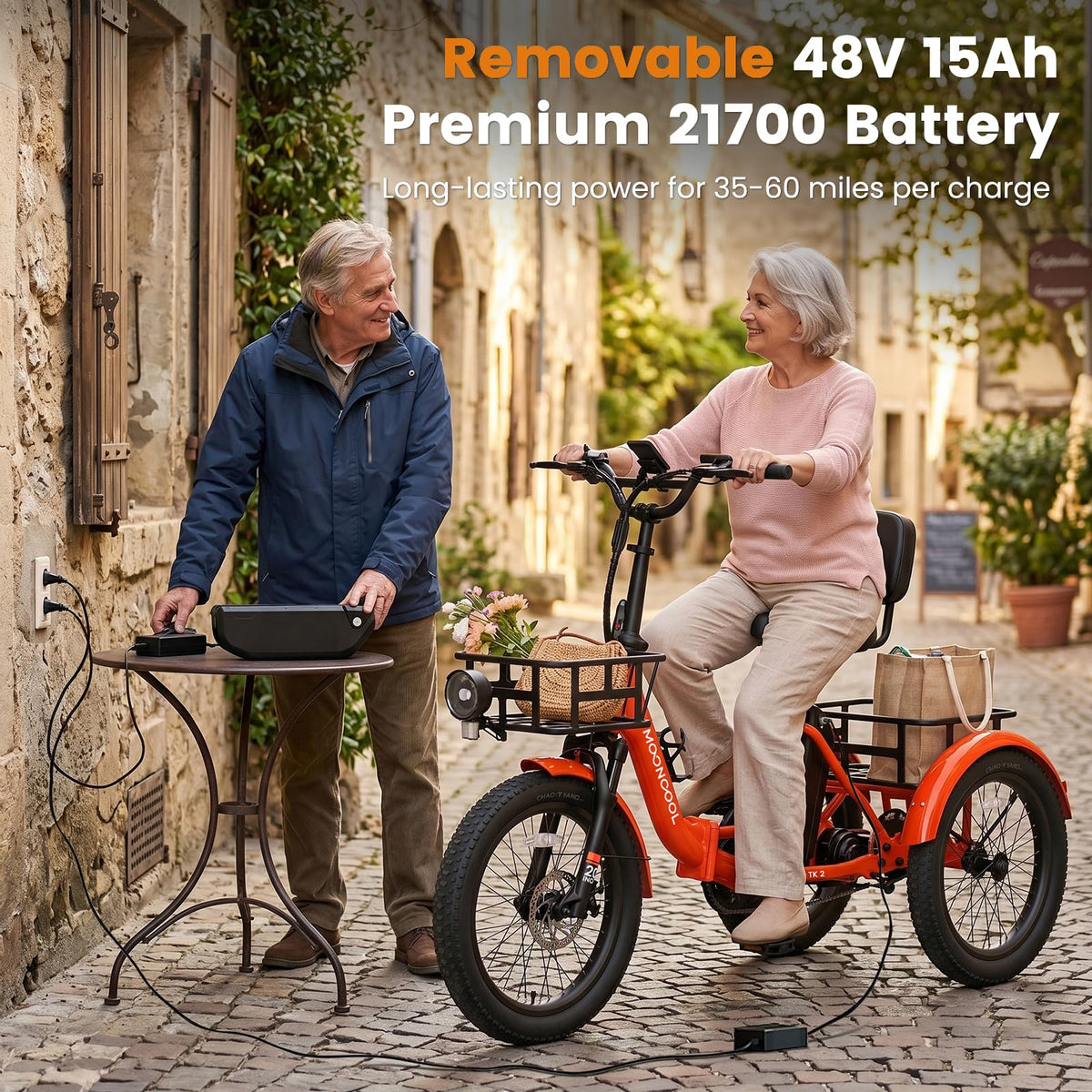 Fat Tire Folding Electric Tricycle K2709