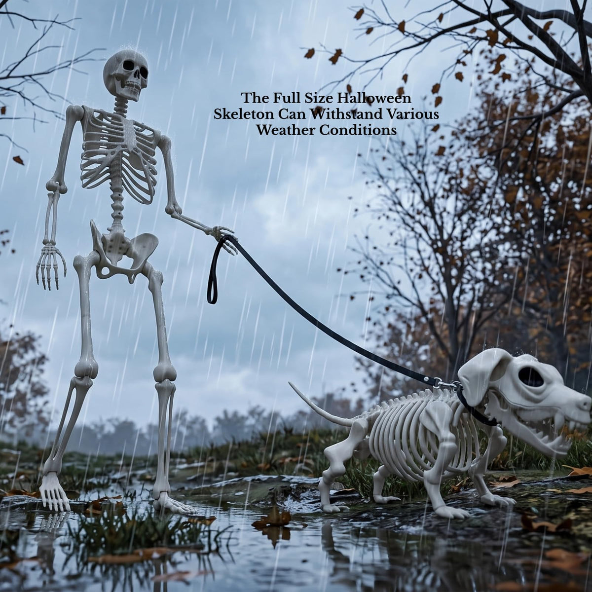 5.4FT Posable Skeleton B43018